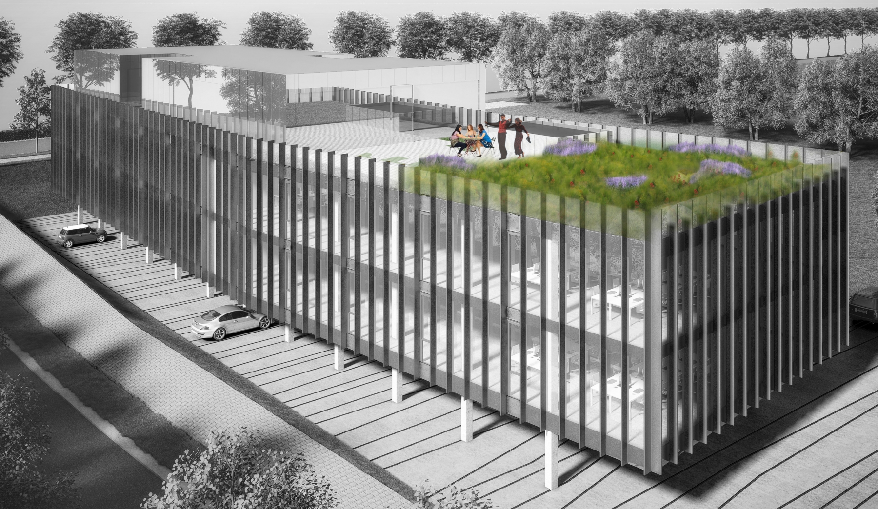 semi-intensief groendak